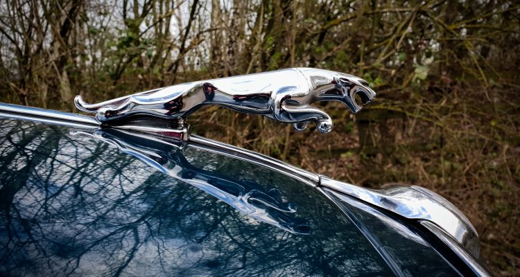 Article's featured image