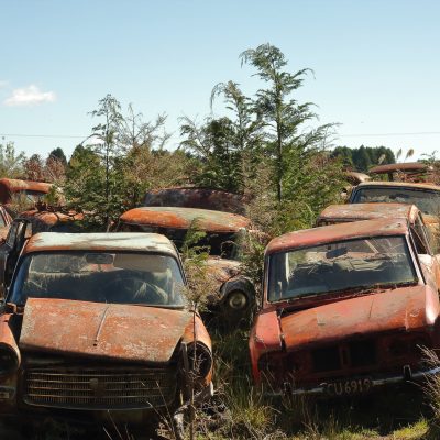 Horopito, Horopito Motors, Horopito New Zealand, scrap yard, scrap classic, Austin
