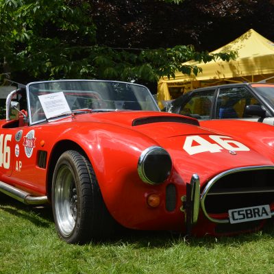 Motorsport, Motorsport at the Palace, Crystal Palace, London car show, classic car, show, classic motorsport, AC Cobra