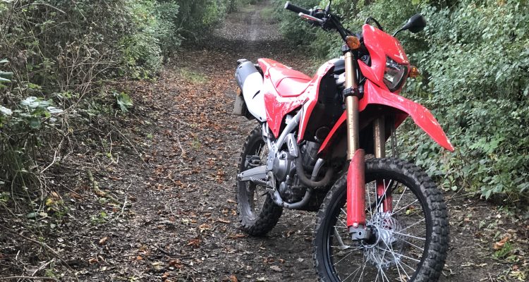 Article's featured image