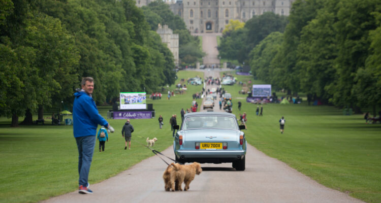 Article's featured image