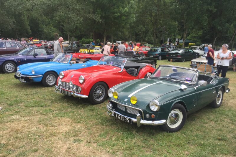 automotive, Car and Classic, carandclassic.co.uk, classic car, Balade des Alpes Mancelles , motoring, retro car, France, classic car show