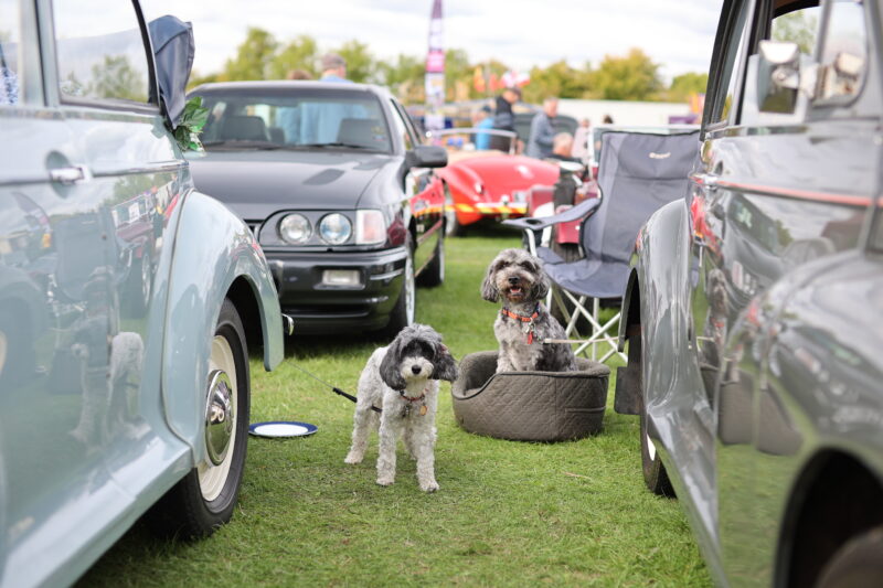 Kop, kop hill, kop hill climb, hill climb, motorsport, classic motorsport, motoring, automotive, car and classic, carandclassic.com, vintage motorsport, classic hill climb, retro, classic,