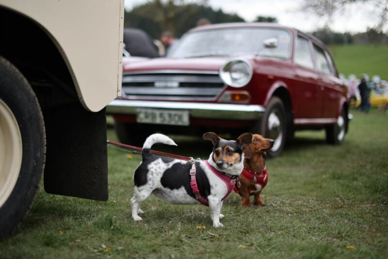 Longbridge, Pride of Longbridge, classic car, rover, mg, british leyland, austin, humber, nash, motoring, automotive, car and classic, carandclassic.com, classic car show, classic car event, longbridge car show