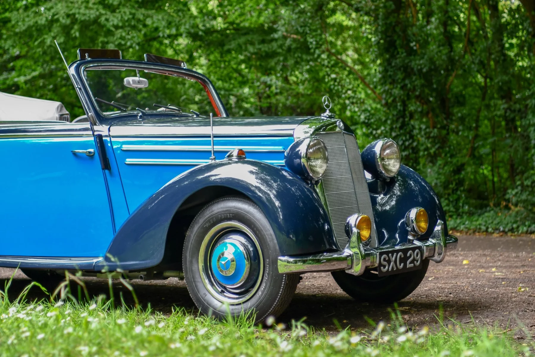 02f8a98d-e87f-4c12-9745-